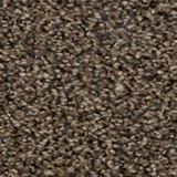 Elliston Color Exhibit