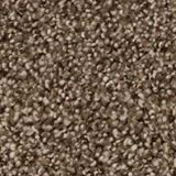 Elliston Color Genesis