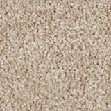 Grand Reserve Color Lantana