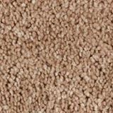 Elliston Color Ardus