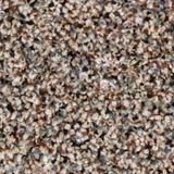 Harmony Heights Color Concord