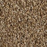 Cool Breeze Color Aged Tree