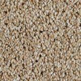 Cool Breeze Color Cotton Wood