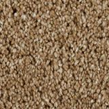 Cool Breeze Color Tanned Branch