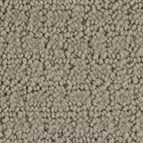 Envision Color Cold Water