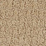 Envision Color Dunes