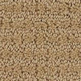 Envision Color Fieldstone