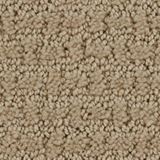 Envision Color Frost