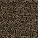 Envision Color Graphite