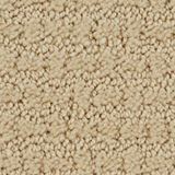 Envision Color Linen