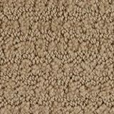 Envision Color Mushroom