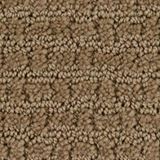 Envision Color Prairie