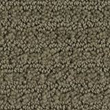 Envision Color Silver Sage