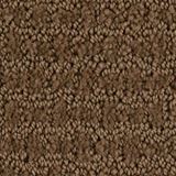 Envision Color Townhouse