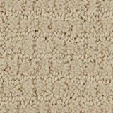 Envision Color Winter White