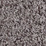 Shimmer Color Dazzling Gray