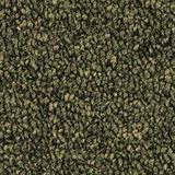 Tenbrooke II Color Sage Leaf