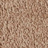 Ridgeland Color Camelot