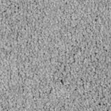 One And Only Color Preferred