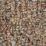 Trenton Color Windswept