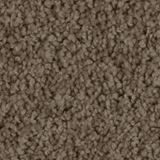 Allure Color Intrigue