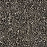 Exceptional Color Divergent