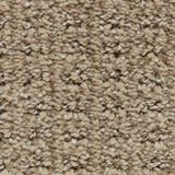 Exceptional Color Outstanding