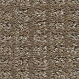 Exceptional Color Phenomenal