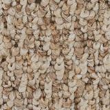 Trenton Color Sweet Gardenia