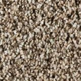 Admirable Color Classy